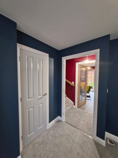 Bold Colors